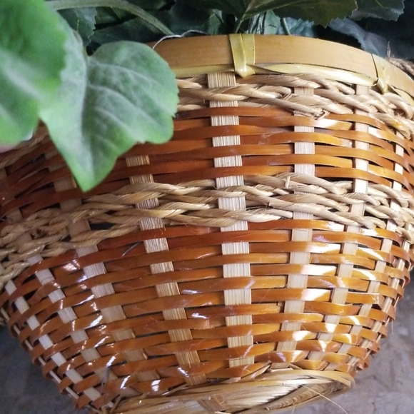 Faux Plant - Picture 3 of 3